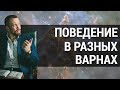 4 варны человека. Как ведут себя люди в разных варнах? | Часть 2 | Анатолий Шмульский