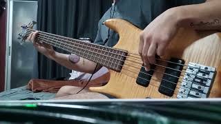 เพื่อนไม่จริง | Polycat | Bass Cover