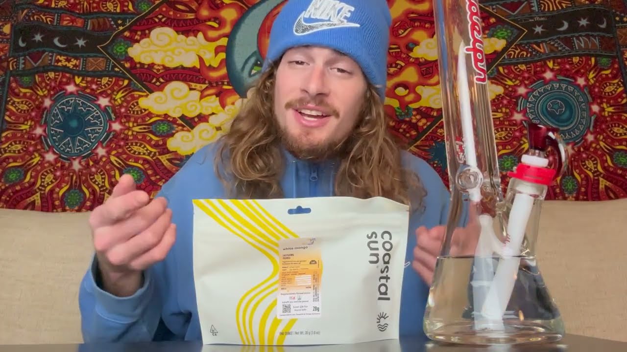 Обзор сорта белого манго! (Coastal Sun)