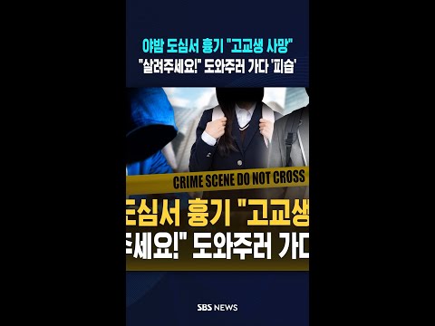 야밤 도심서 흉기 