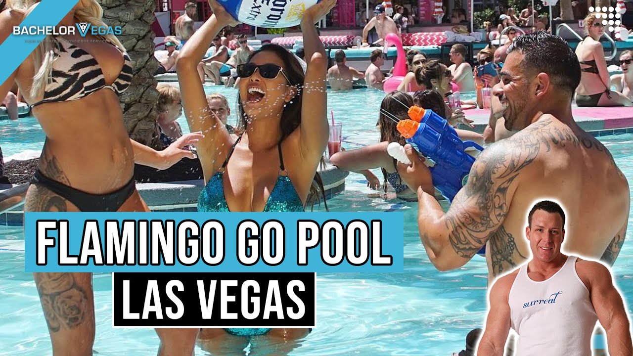 Flamingo Pool Las Vegas - Go Pool & Beach Pool Hours & Drink Prices