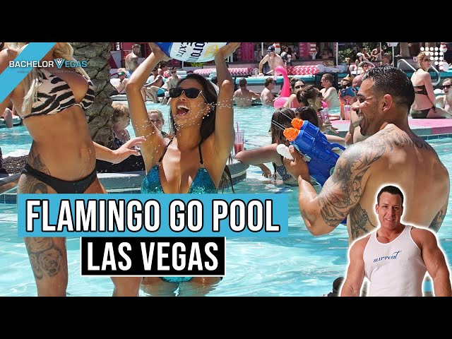 Flamingo GO Pool (21+) Walkthrough (2021) 