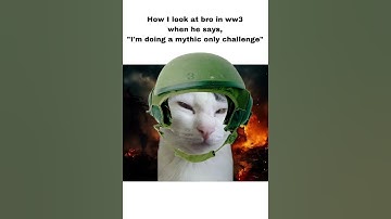 How I look at bro in ww3 pt4 #funny #meme #fortnite #cat