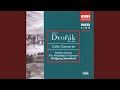 Miniature de la vidéo de la chanson Symphony No. 7 In D Minor, Op. 70: Ii. Poco Adagio