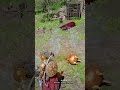 Crimson Desert Get Equip Visione Read Memory On Cows' Whereabouts #crimsondesertgame