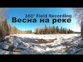 Весна на реке | Field Recording 360°