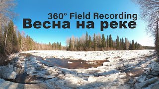 Весна на реке | Field Recording 360°