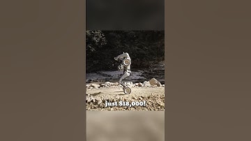 Just $18,000! The Robot of the Future Is Here!