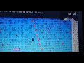הפרה האדמה השואה בגרמניה (ר' אליהו לאפיין ) בקודים בתורה מתתיהו גלזרסון