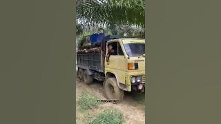 Umplung 6x6 unjuk ke kuatannya di lumpur‼️#driversawit #petanisawit #trucksawit #sawit #truck #4x4