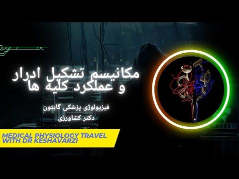 عملکرد کلیه ها مکانیسم تشکیل ادرار و عملکرد کلیه فیزیولوژی پزشکی دکتر کشاورزی بیماری های کلیوی