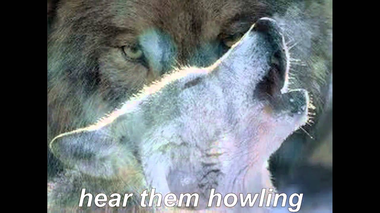 Wolves  -  Kapsonic (Hanneke Kappen Harry Kappen)