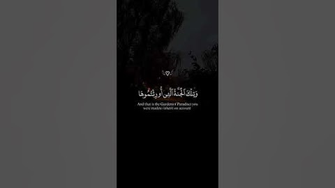 آيات من سورة سـورة الزخرف | القارئ محمـد اللحيدان