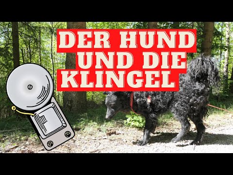 Video: Fragen Sie einen Experten - Türklingel Bellen