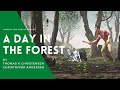 A day in the forest  by thomas k christensen and christoffer andersen