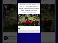 A chorus of barks fills Buenos Aires park as 2,397 golden retrievers k gather, creating a