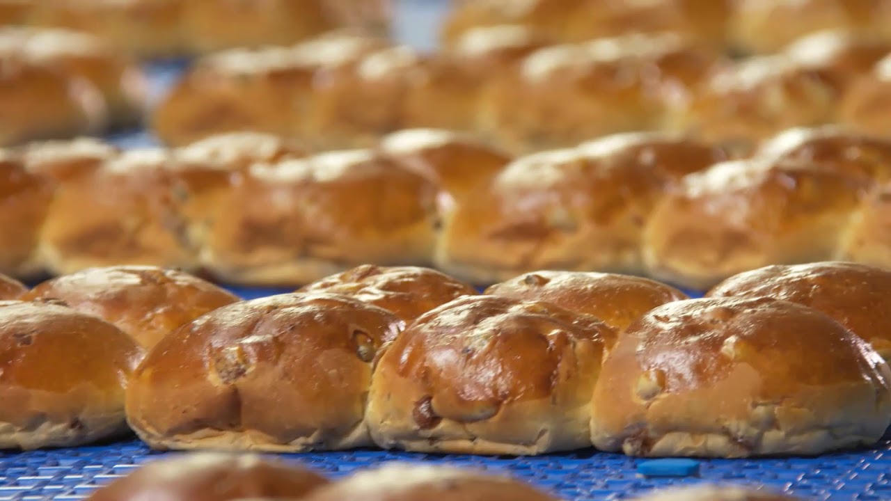Industrial Bakery Thermal Oil Ovens [Daub] - YouTube