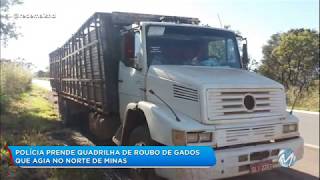Police arrested a gang suspected of cattle theft and robbery in northern Minas Gerais. Police arrested a gang suspected of cattle theft and robbery in northern Minas Gerais.