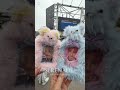 [Carat Diary] まさに耳にキャンディなメボコン!! / DxS [SERENADE] ON STAGE -JAPAN
