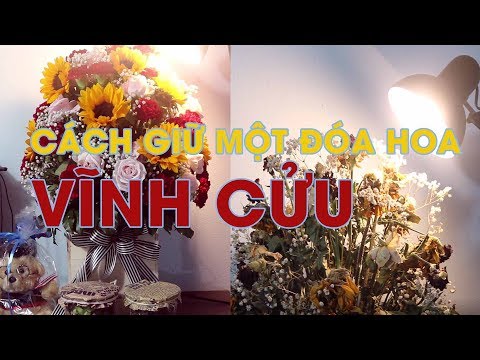 Video: Cách Làm Một Bó Hoa Khô