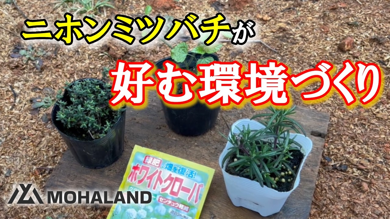 ニホンミツバチを呼ぶ方法｜巣箱設置前にやるべき環境整備