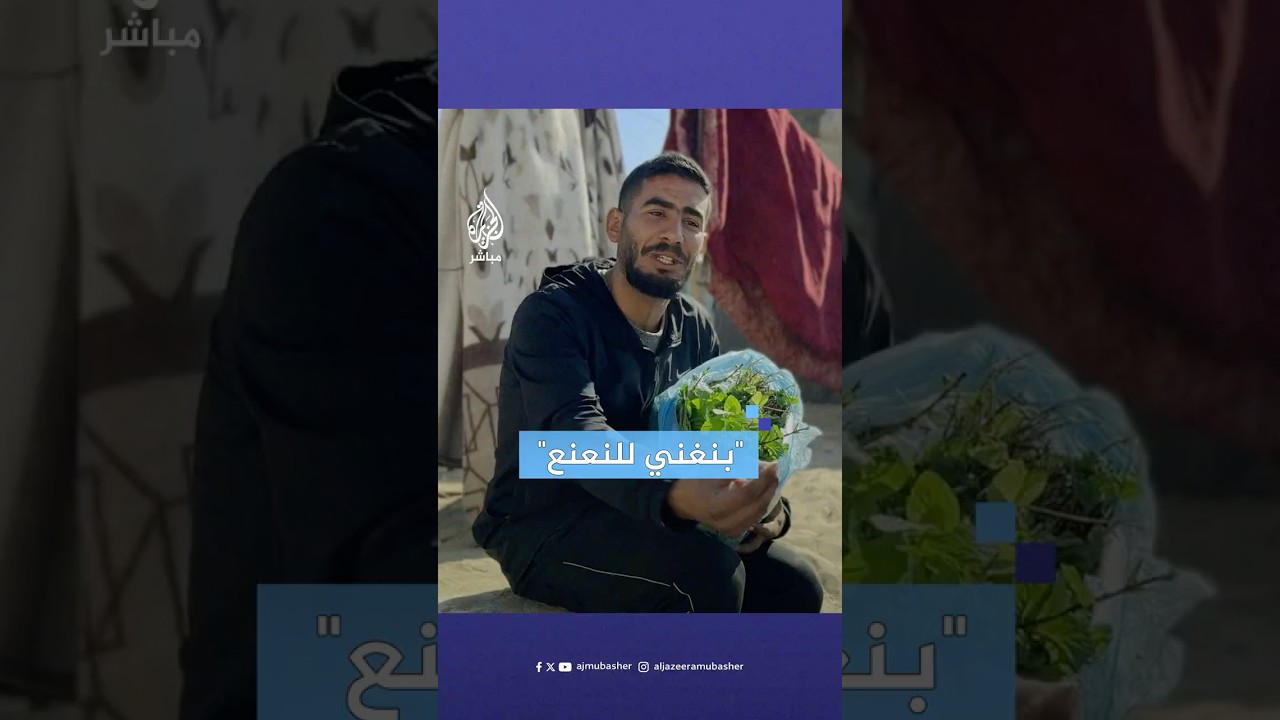 تحولت حياته من صياد سمك إلى بائع.. قصة ملهمة لفلسطيني يغني للنعناع