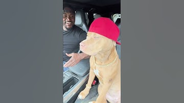 #short #shorts #videos short #funny videoLove deserve a gift for all her hard work lol  If love put