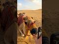Keemokazi Uses A Camel To Open His MomтАЩs Phone ЁЯШВ Keemokazi Uses A Camel To Open His MomтАЩs Phone ЁЯШВ