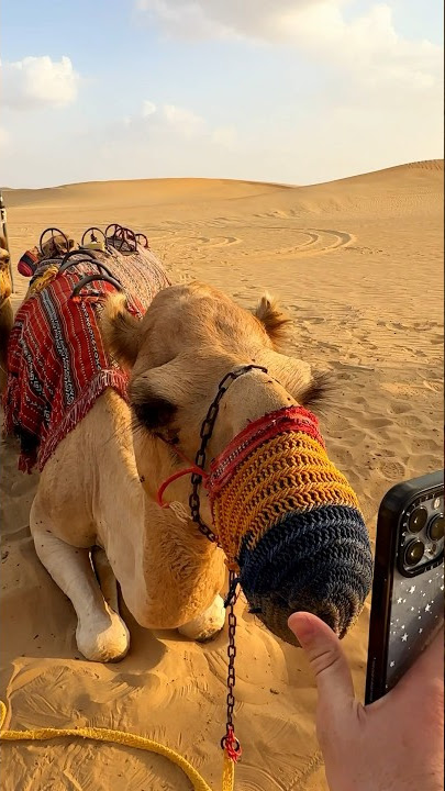 Keemokazi uses a camel to open his mom’s phone 😂