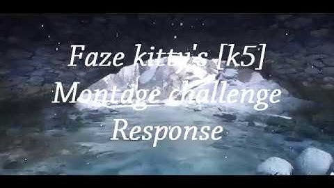 Wigi XI and Zerk- FaZe Kitty