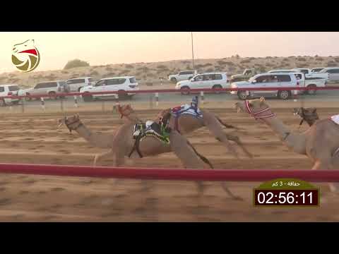 سباق الحقاقة لهباب 24 10 2025 ش3 غند ل حمود حمد حمدان الوهيبي 4 35