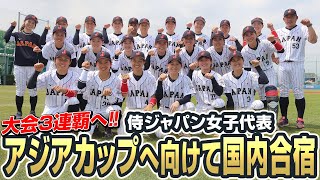 【大会3連覇へ】侍ジャパン女子代表 アジアカップへ向けて国内合宿