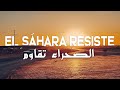 الصحراء تقاوم EL SÁHARA RESISTE Videoclip 