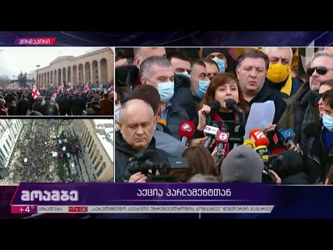 ვითარება პარლამენტთან - ხატია დეკანოიძემ ნიკა მელიას წერილი წაიკითხა