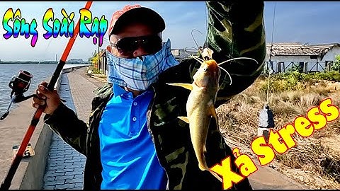 Câu Cá Sông Soài Rạp Cần Giờ Cùng Đồng Bọn Quá Vui