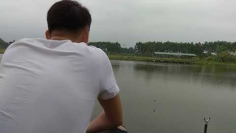 Câu lục | cận cảnh cá chép tỳ phao siêu đẹp