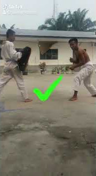 Aksi Pendekar Utama Walet Puti / Ketua Wilayah Aek Kuo  Abangda Rahmadhon