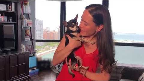 Is BrilliantPad right for you?