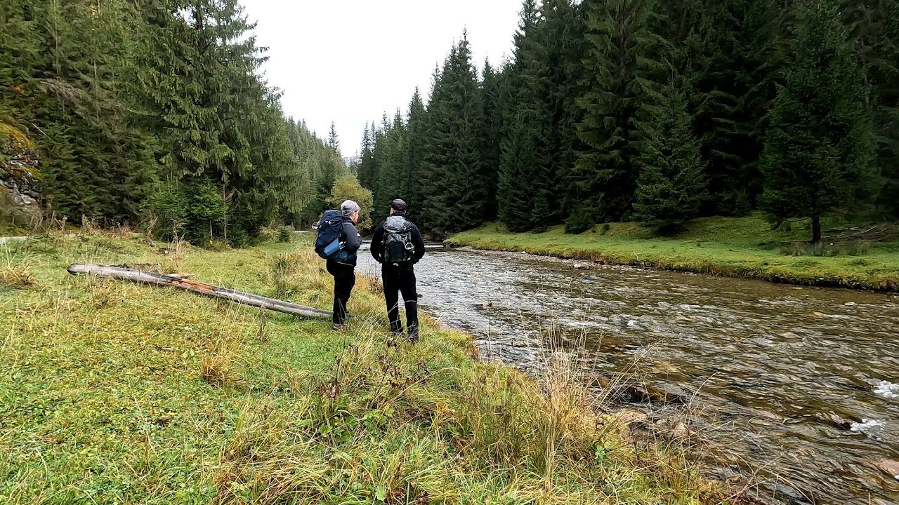 Valea Țibăului (Com.Cârlibaba, Jud.Suceava)