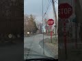 A Drive Through the Woods