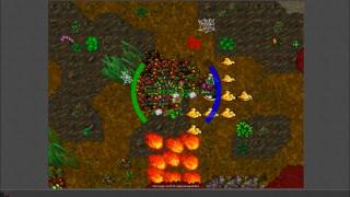Tibia Batato/Thielcita GS Cave