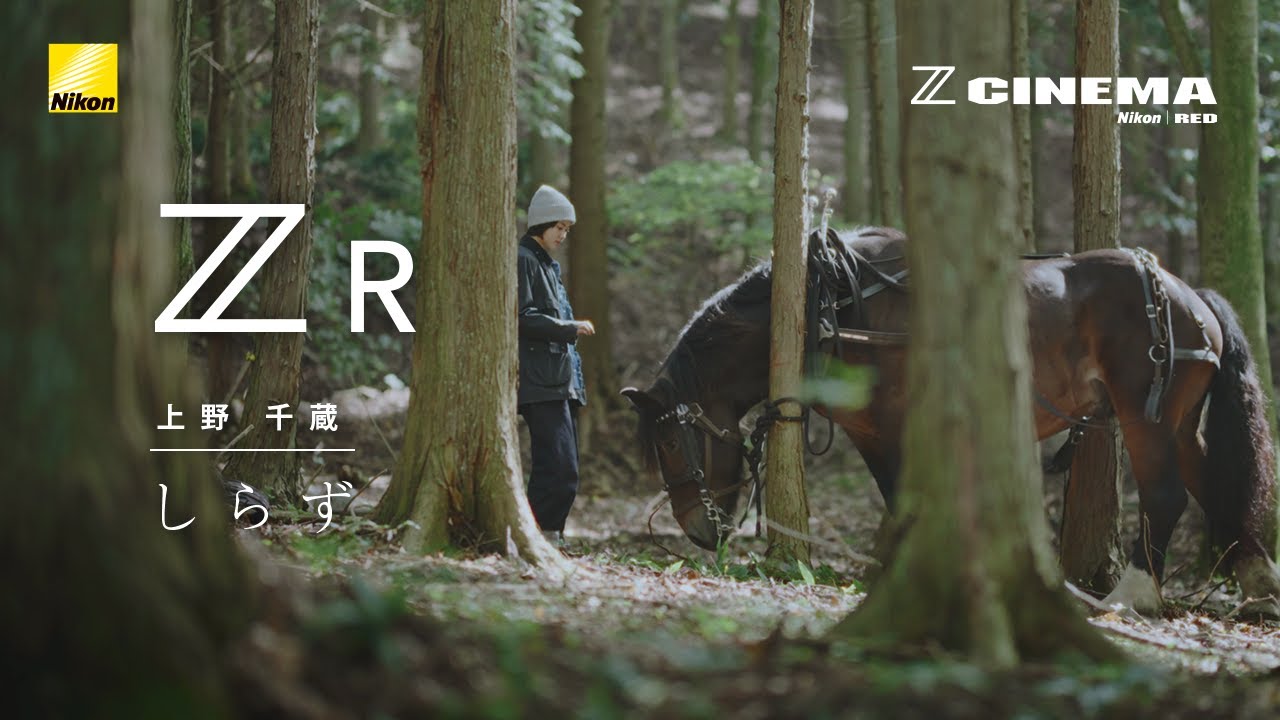 ZR しらず | 上野千蔵 | ニコン