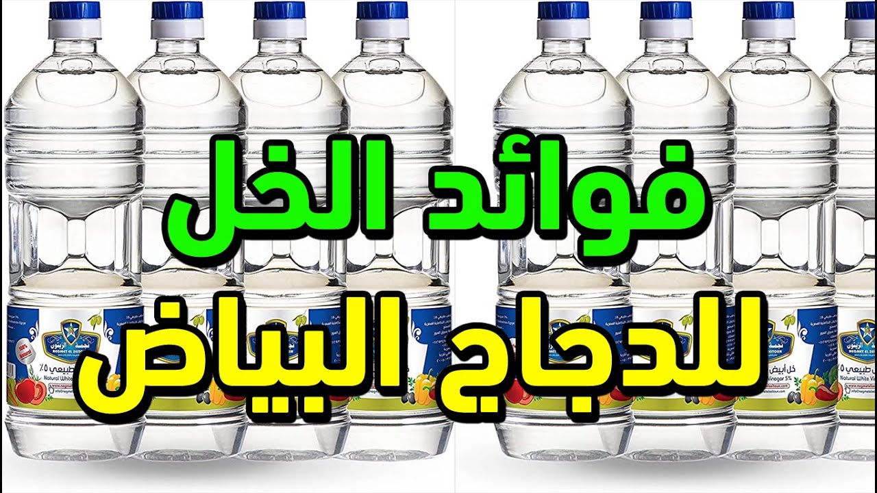 فوائد الخل المذهلة للدواجن وجرعه الخل المناسبةو الطريقه الصحيحه ...