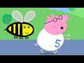 Daddy Pig fa una corsa divertente per beneficenza! | Peppa Pig Italiano