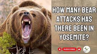 🐻 How Many Bear Attacks in Yosemite | CampDotCom 🌲