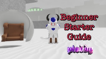 BUDOKAI Z Starter Guide For Beginers !