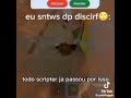todo scripter ja passou