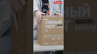 Сказочно полезный подарок на Новый год — комплект для умного дома с Алисой. В наличии в «Петровиче»