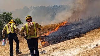 Wildfire Erupts After Dung Spontaneously Combusts: Investigators