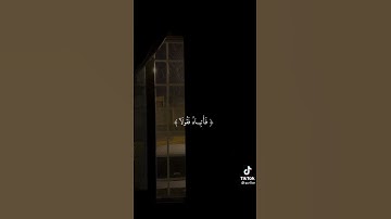 (قال لا تخافا) | حالات واتس اب دينية | شريف مصطفى | تلاوة خاشعة ❗